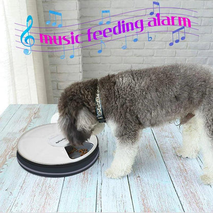 6-Meal Automatic Pet Feeder