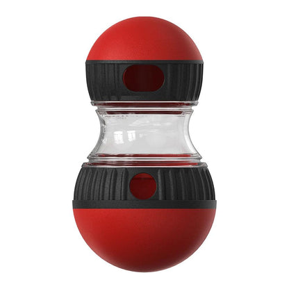 Interactive Dog IQ Toy