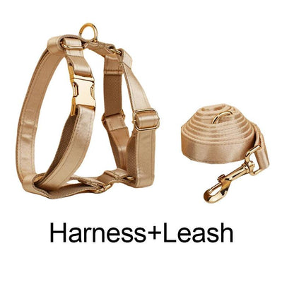 Custom Luxury Designer Dog Set