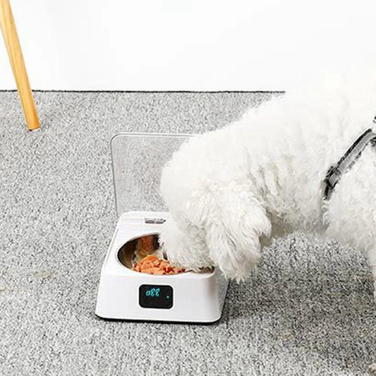 Automatic Cat Feeder with Sensor