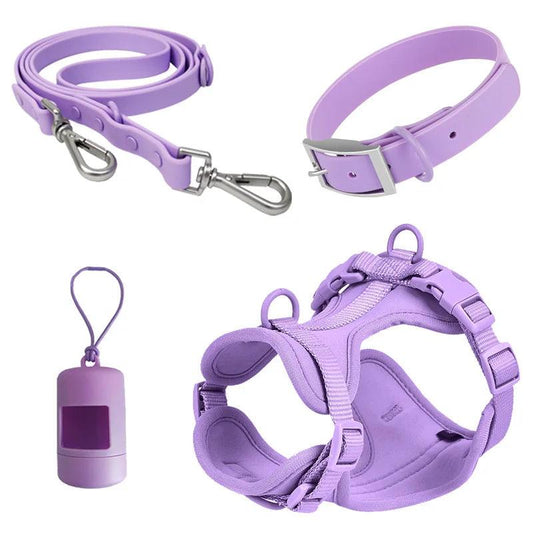 Purple Dog Collar & Leash Set