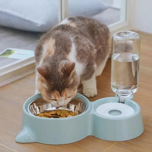 2-in-1 Cat Food & Water Bowl