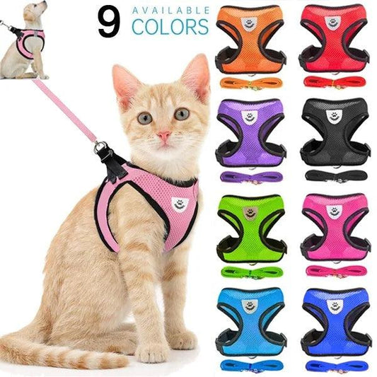 Adjustable Pet Harness & Leash