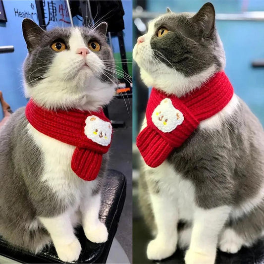 Cartoon Bear Pet Scarf