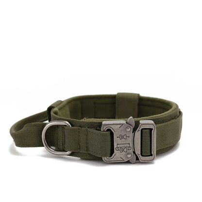 Durable Dog Collar & Leash