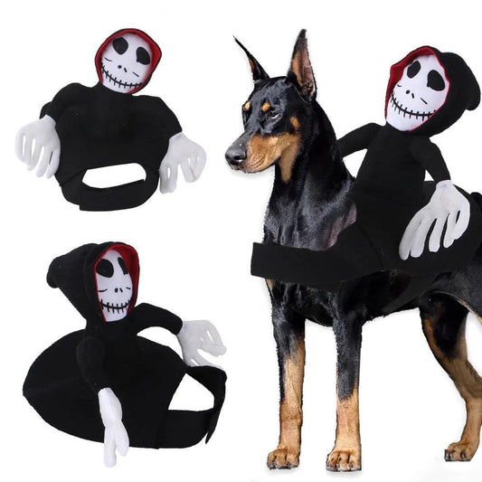 Pet Halloween Transformation Costume