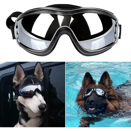 Anti-Fog Dog Ski Goggles