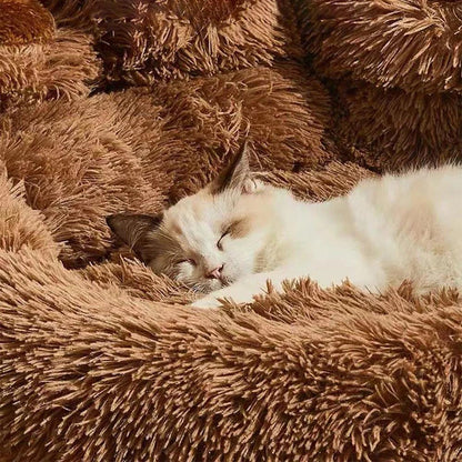 Ultra-Cozy Plush Dog Bed