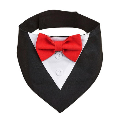 Handsome Dog Bow Tie