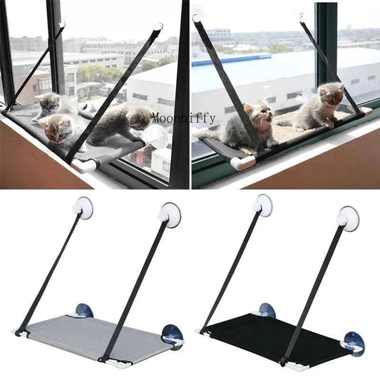 Window Cat Hammock BedDescription:

Let your cat enjoy sunny naps with this breathable hammock. Suction cup design securely attaches to windows, offering a cozy perch for relaxation with Regal Pet PalaceRegal Pet PalaceWindow Cat
