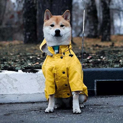 Yellow Pup Raincoat Jacket