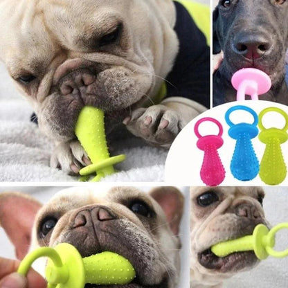 Rubber Pacifier Dog Toy