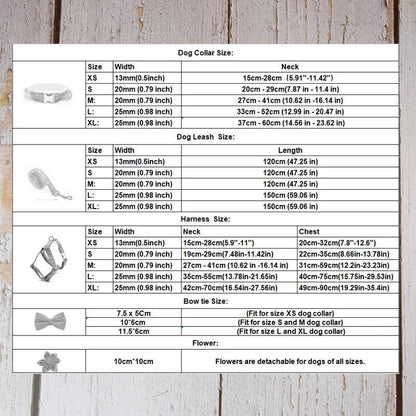 Custom Luxury Designer Dog Set