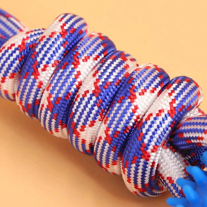 Spiked Ring Dog Training Toy