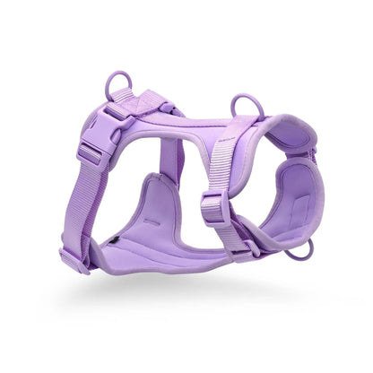 Purple Dog Collar & Leash Set
