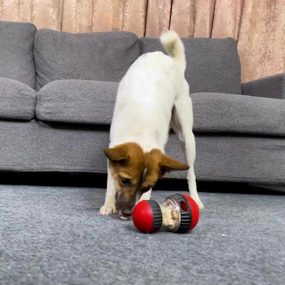 Interactive Dog IQ Toy