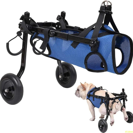 Adjustable Small Dog WheelchairDescription:

Give your disabled pet a second chance at mobility! This adjustable wheelchair helps small dogs regain independence, ensuring they stay active and happRegal Pet PalaceRegal Pet PalaceAdjustable Small Dog