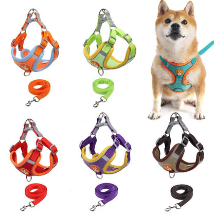 Reflective Dog Harness & Leash