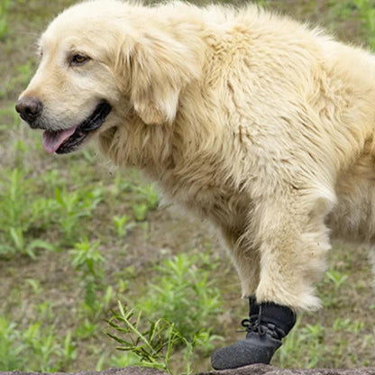 No-Fall Summer Pet Shoes