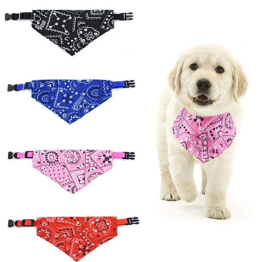 Pet Collar with Necktie