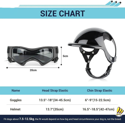 Dog Motorcycle Helmet & Goggles