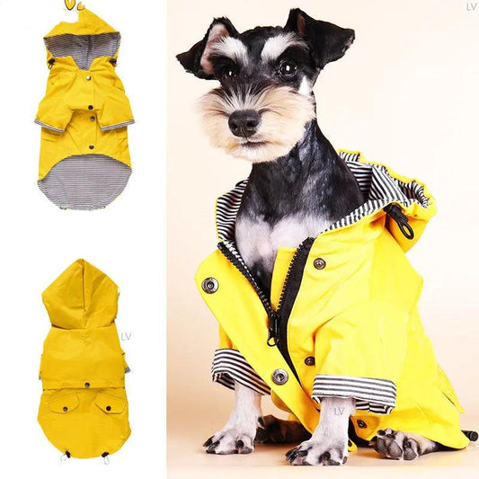 Yellow Pup Raincoat Jacket