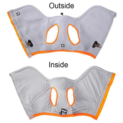 Cooling & Warm Dog Harness
