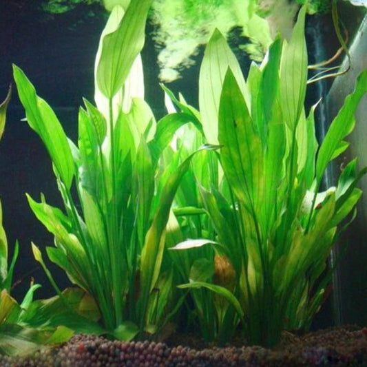 Artificial Aquarium Grass Plant
