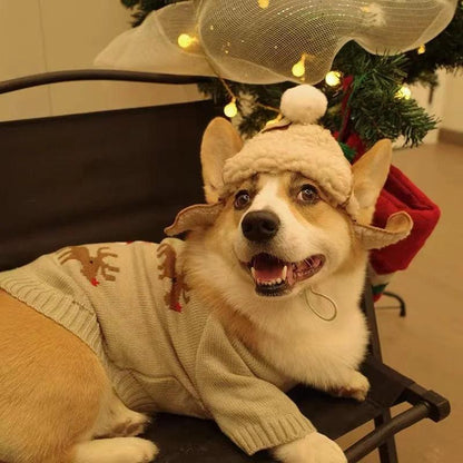 Cozy Adjustable Pet Hat