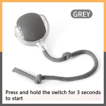 Smart Bouncing Dog Toy