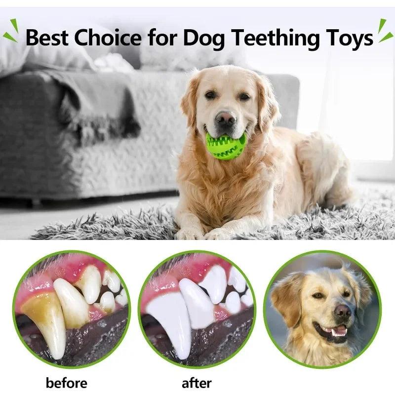 Treat Dispensing Chew Ball