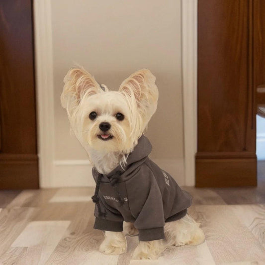 Warm Winter Dog Coat