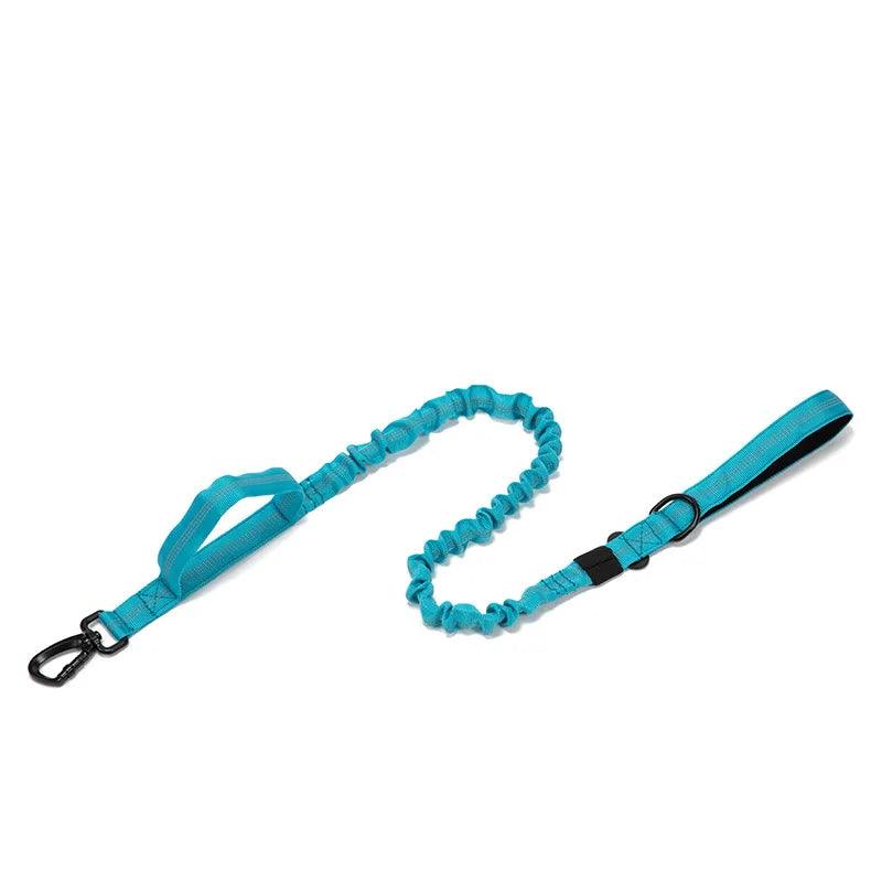 Durable Dog Collar & Leash