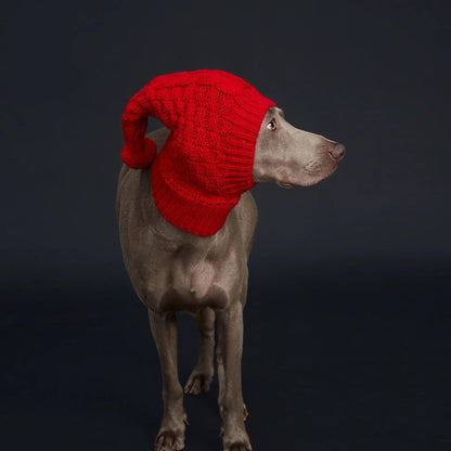 Cozy Pom-Pom Dog Hat
