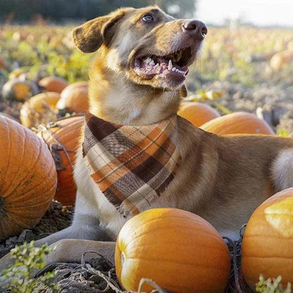 Plaid Dog Bandana Set