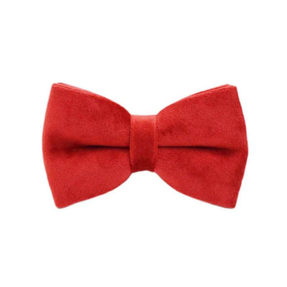 Cherry Red Velvet Dog Set