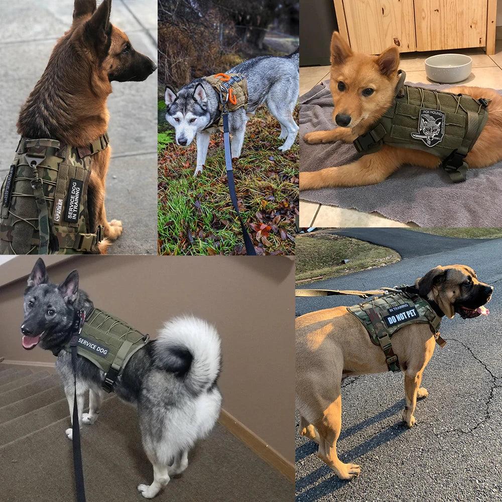 Tactical Dog Harness Set