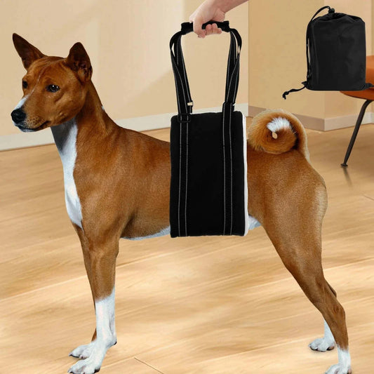 Adjustable Dog Lift HarnessDescription:

Give your furry friend the support they need! This adjustable harness helps pets with joint injuries or mobility issues, allowing them to move with comRegal Pet PalaceRegal Pet PalaceAdjustable Dog Lift