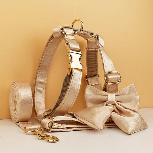 Custom Luxury Designer Dog Set