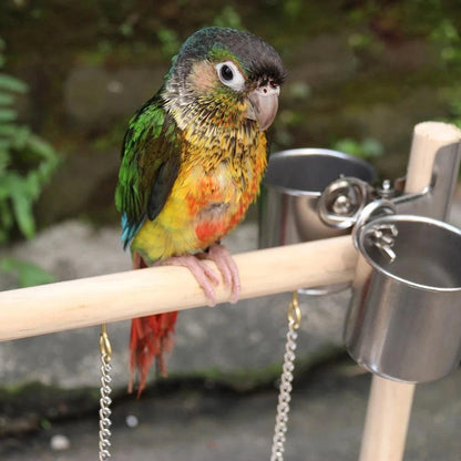 Parrot Playground Activity Set