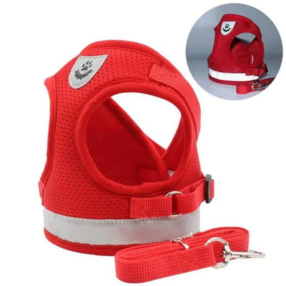 Adjustable Pet Harness & Leash