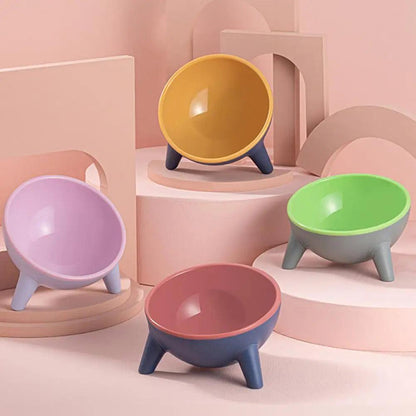 Tilted Cat Food Bowl