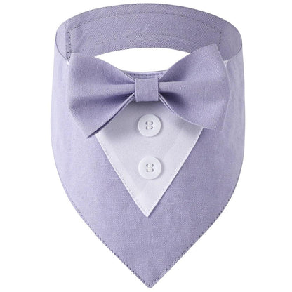 Handsome Dog Bow Tie