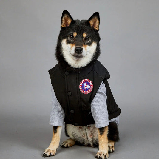 Cozy Cotton Dog Outfit