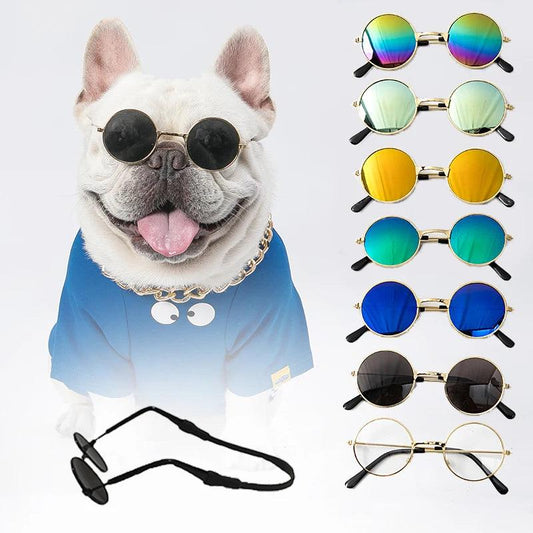 Vintage Round Pet Glasses