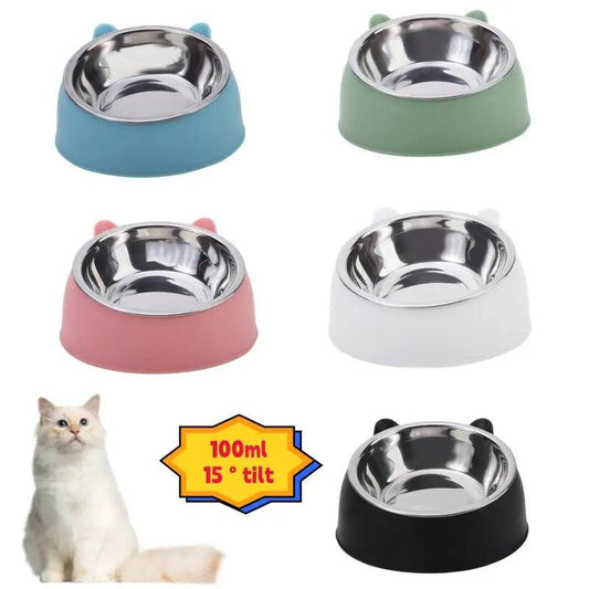 Elevated Tilted Pet Feeding Bowl