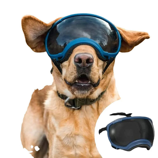Impact-resistant dog goggles on a large breed dog, offering UV protection and adjustable fit for outdoor adventures.